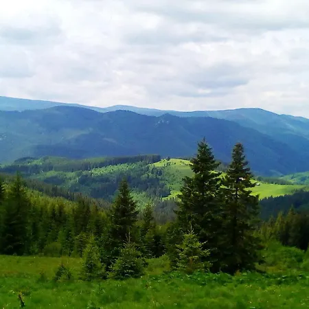 Hutsul Hut Pensionat Putyla