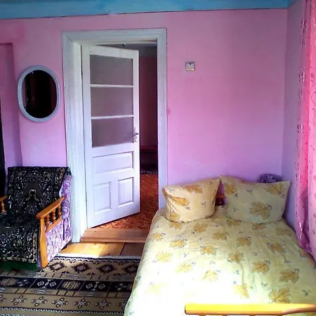 Hutsul Hut Guest house Putyla