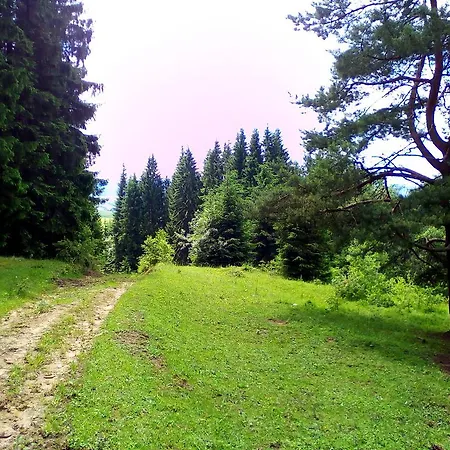 Hutsul Hut Guest house *