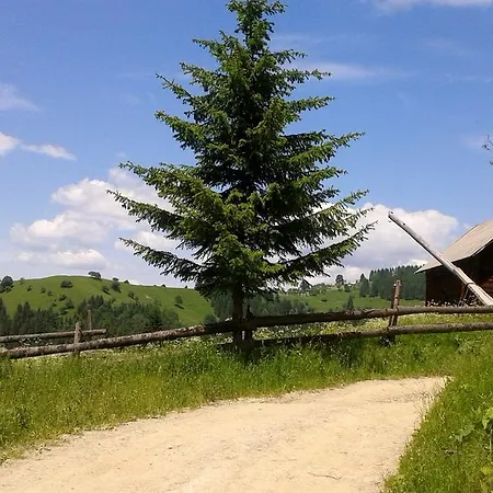 Hutsul Hut Guest house *